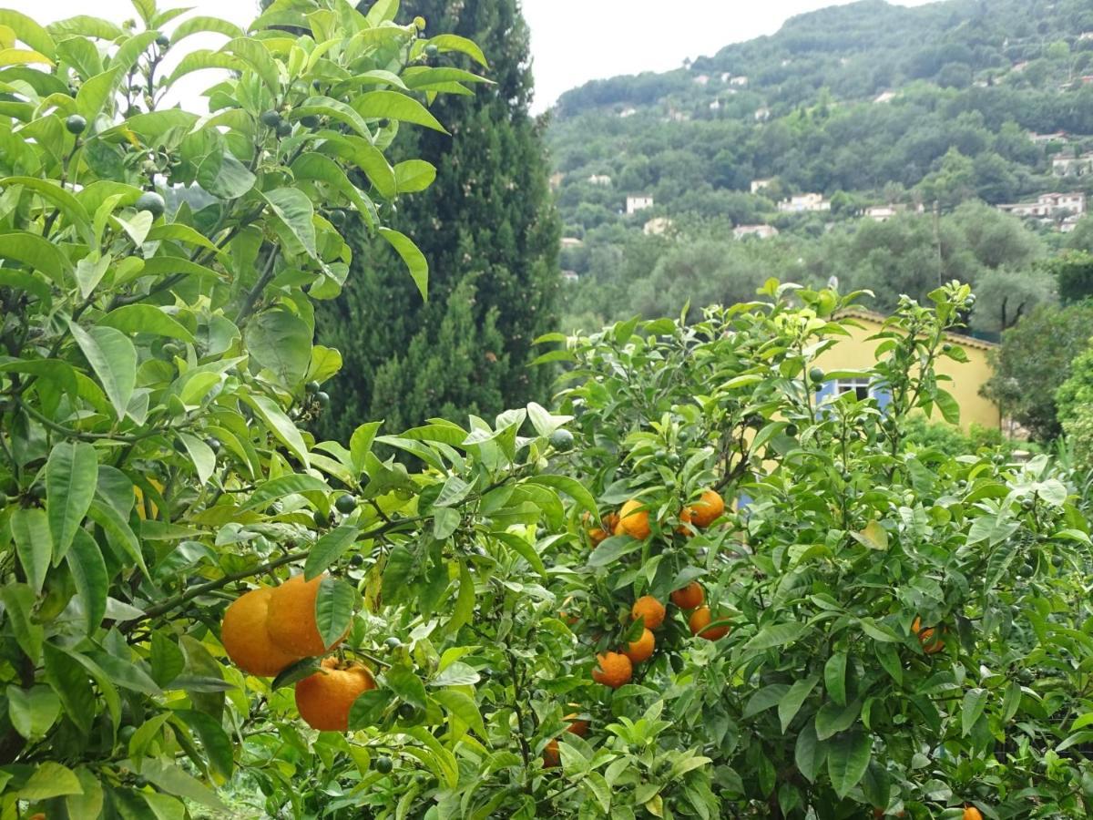 Luva D'Azur, Rez De Villa Le Riou - Le Vallon Le Bar-sur-Loup Zewnętrze zdjęcie