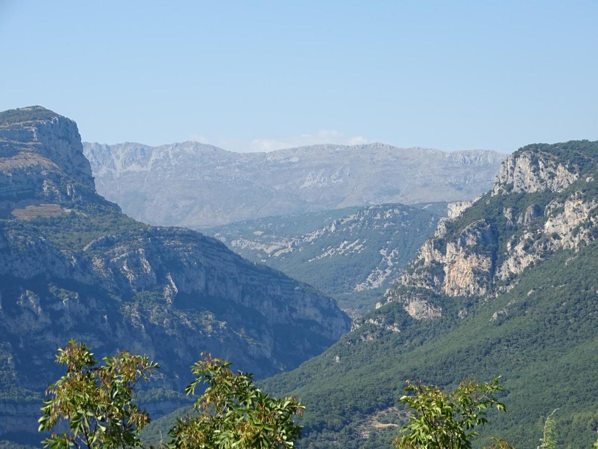 Luva D'Azur, Rez De Villa Le Riou - Le Vallon Le Bar-sur-Loup Zewnętrze zdjęcie