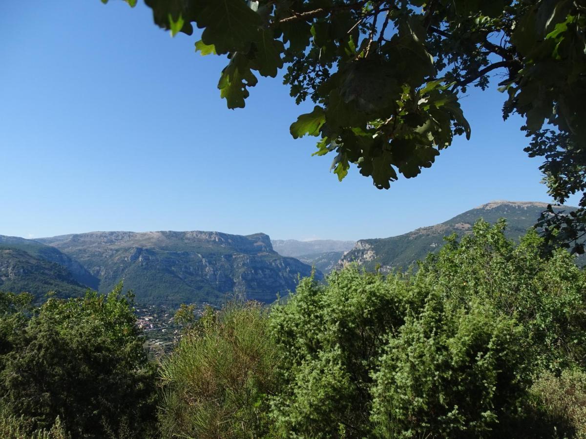 Luva D'Azur, Rez De Villa Le Riou - Le Vallon Le Bar-sur-Loup Zewnętrze zdjęcie