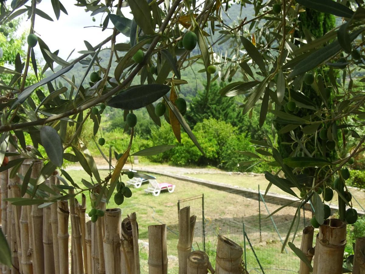 Luva D'Azur, Rez De Villa Le Riou - Le Vallon Le Bar-sur-Loup Zewnętrze zdjęcie