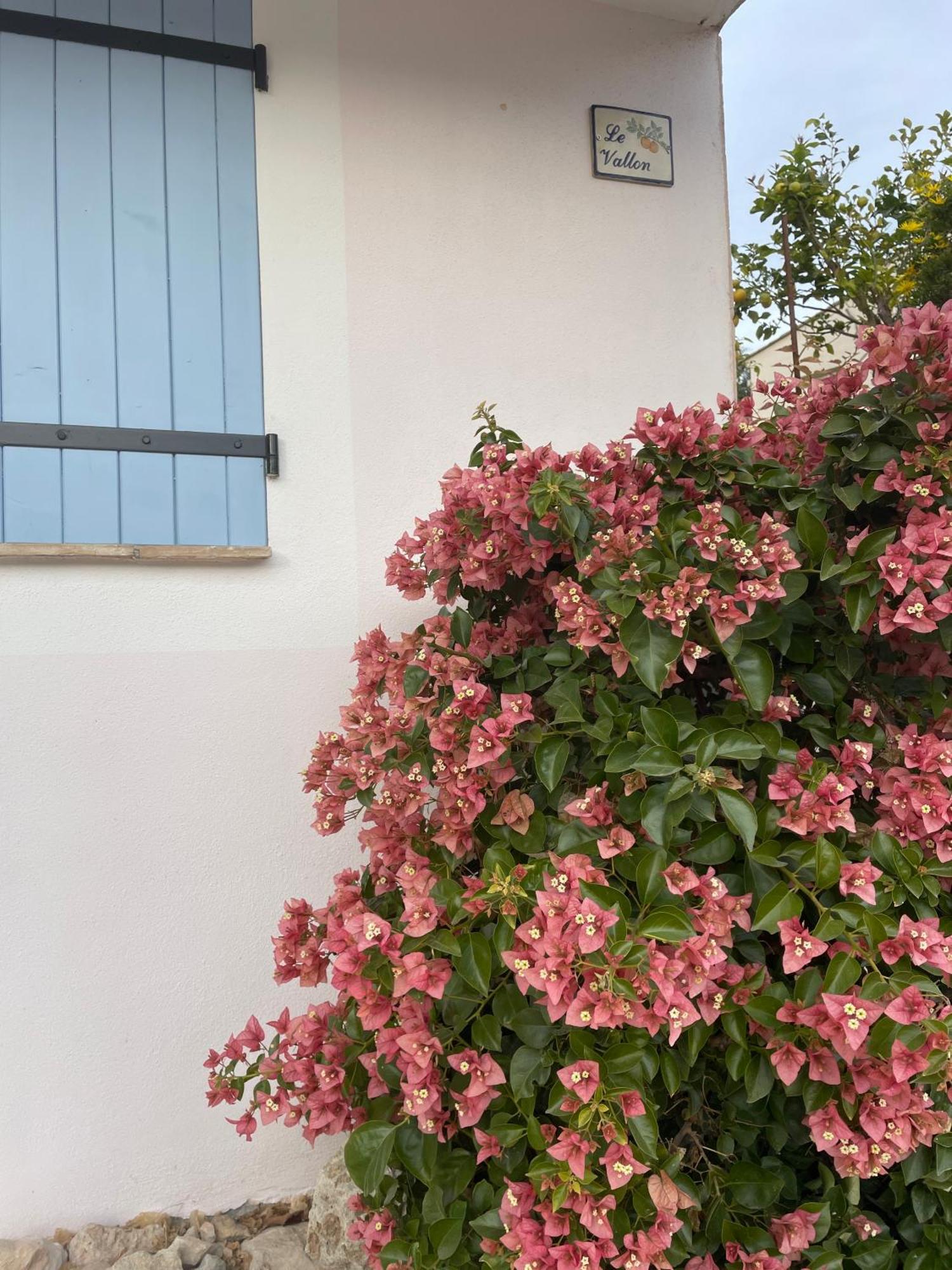 Luva D'Azur, Rez De Villa Le Riou - Le Vallon Le Bar-sur-Loup Zewnętrze zdjęcie