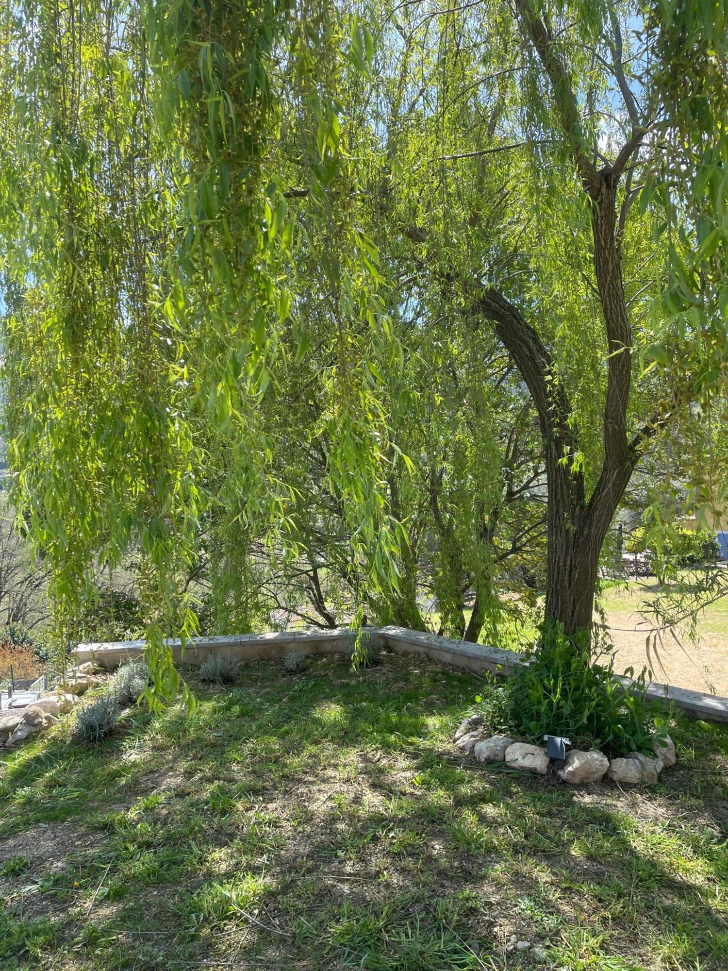Luva D'Azur, Rez De Villa Le Riou - Le Vallon Le Bar-sur-Loup Zewnętrze zdjęcie